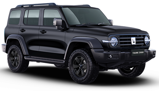 Tank 300 2.0 AT 4WD City Adventure